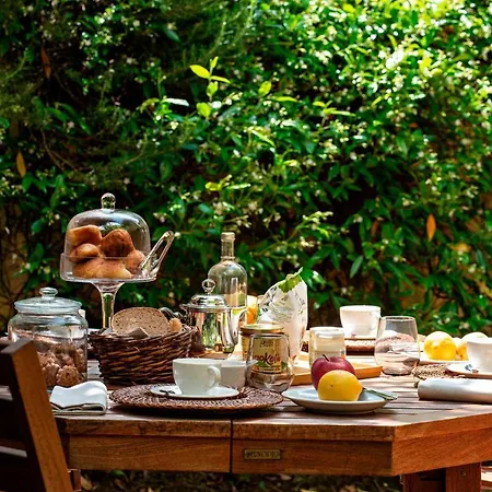Cozy In The Heart Of Chianti 公寓 *